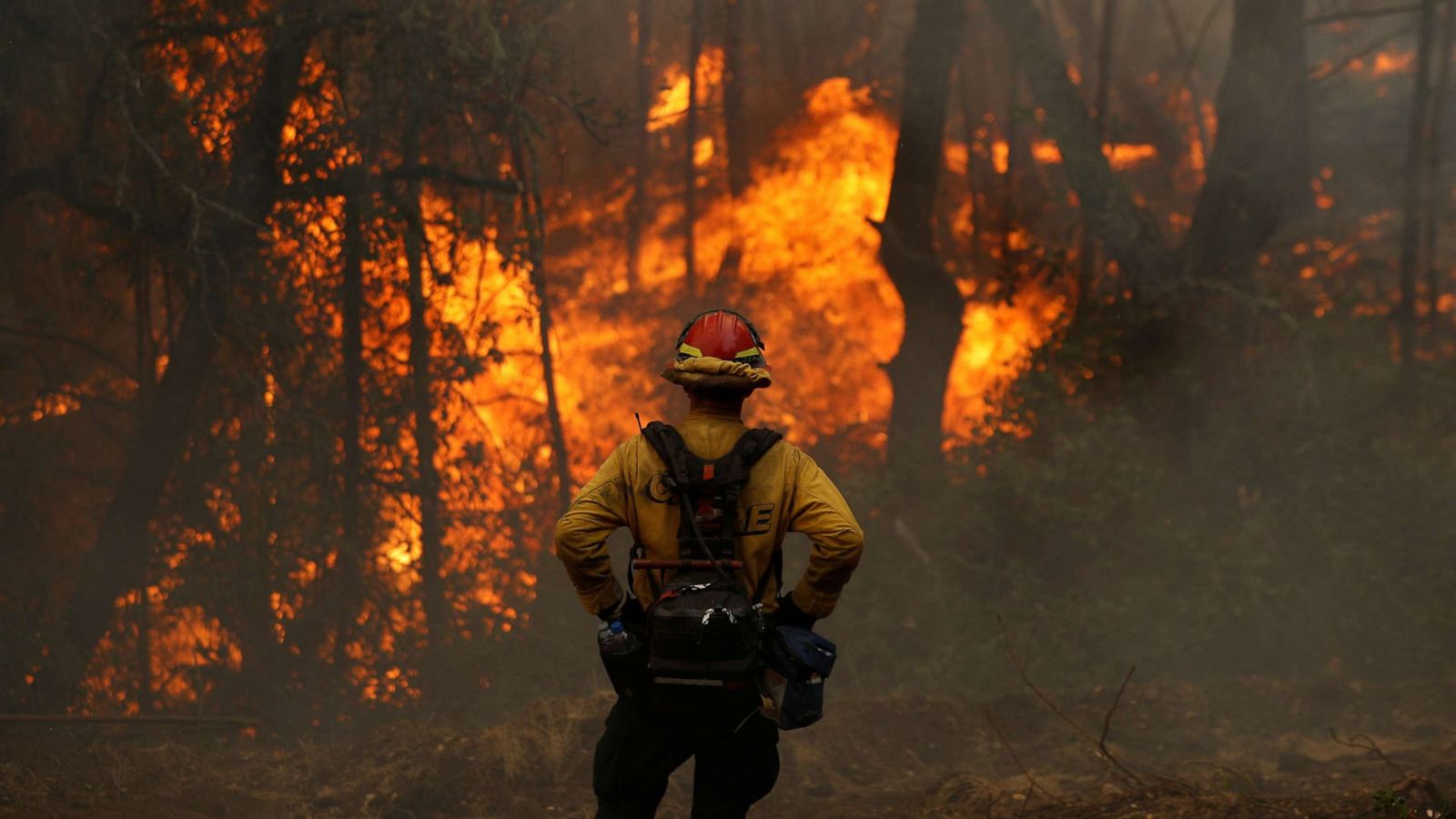 Image of Forest fire with firefighters