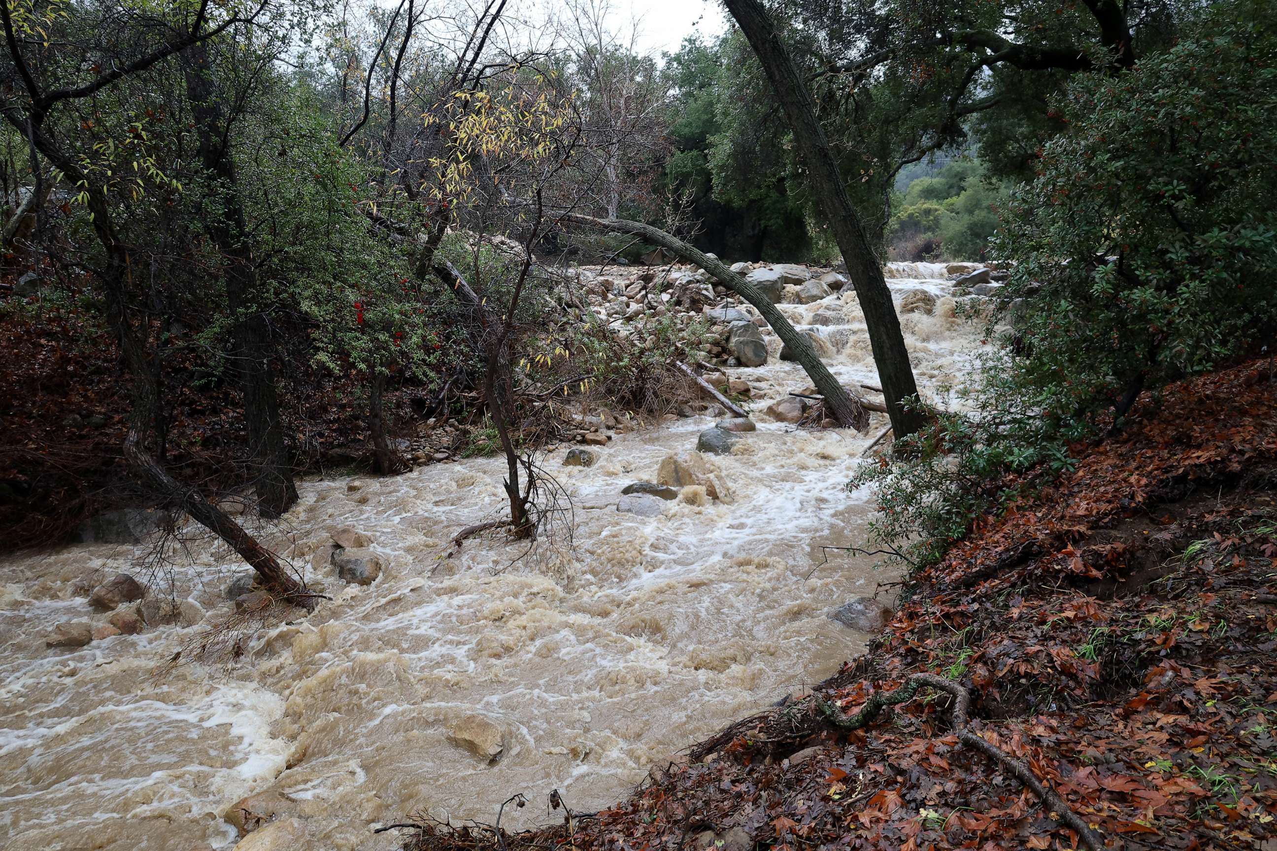 PHOTO: The usually dry river bed has become a raging stream on Jan. 10, 2023, after flash flooding ripped through the Los Padres National Forest in Santa Barbara, Calif.