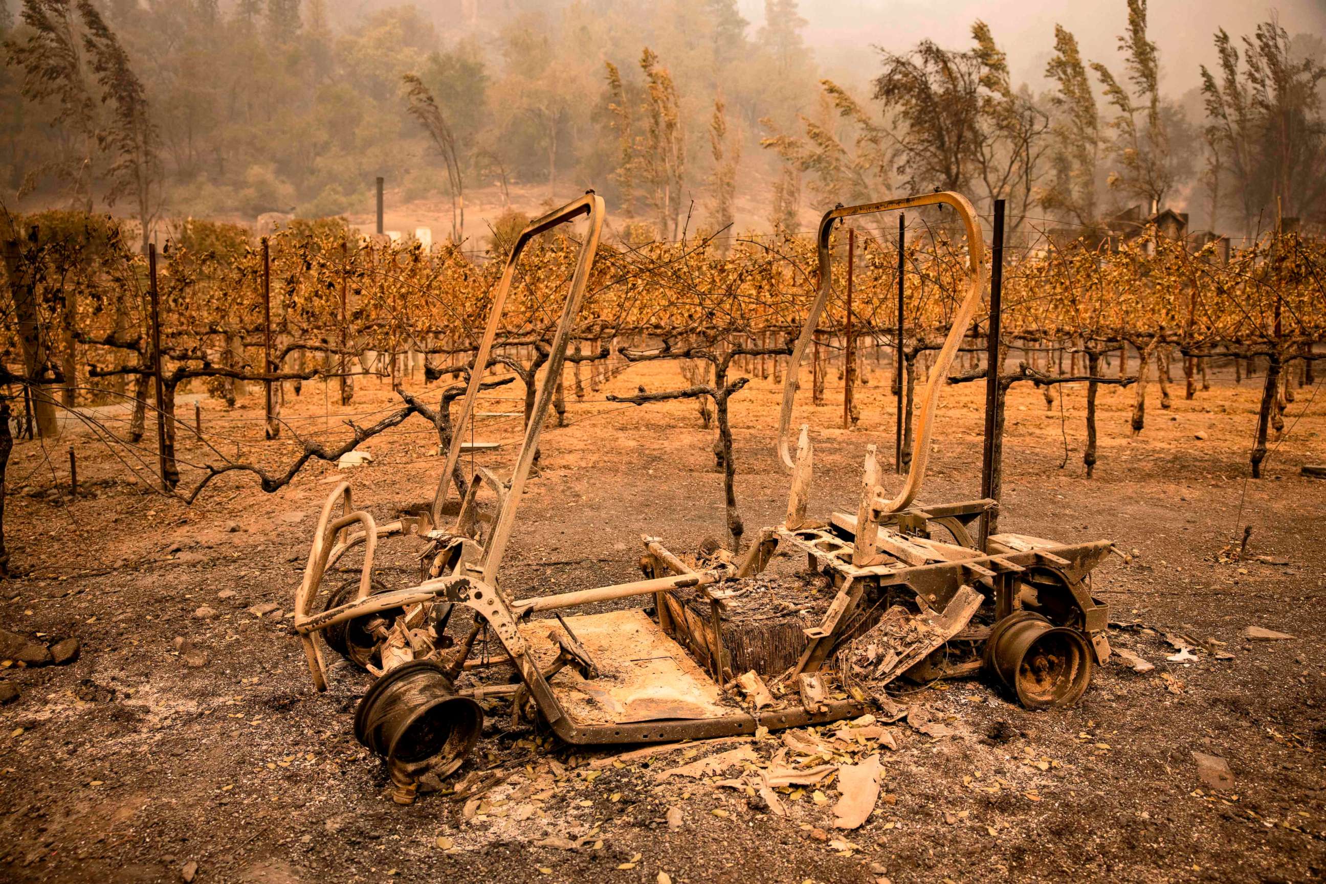 PHOTO: The remains of a golf cart burned by the Glass Fire sits next to a vineyard at Calistoga Ranch in Calistoga, Napa Valley, Calif., Sept. 30, 2020.