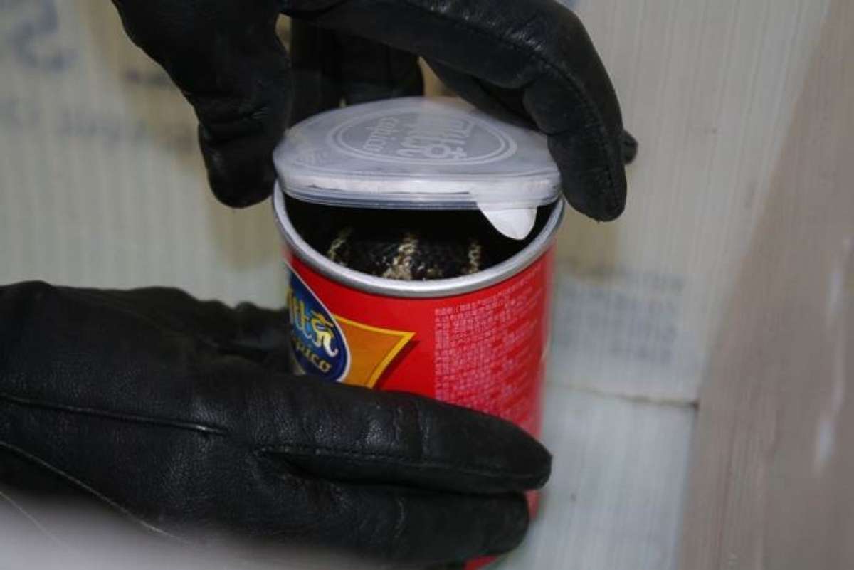 PHOTO: A 34-year-old California resident has been arrested on a federal smuggling charge after three cobras were found in a potato chip canister.
