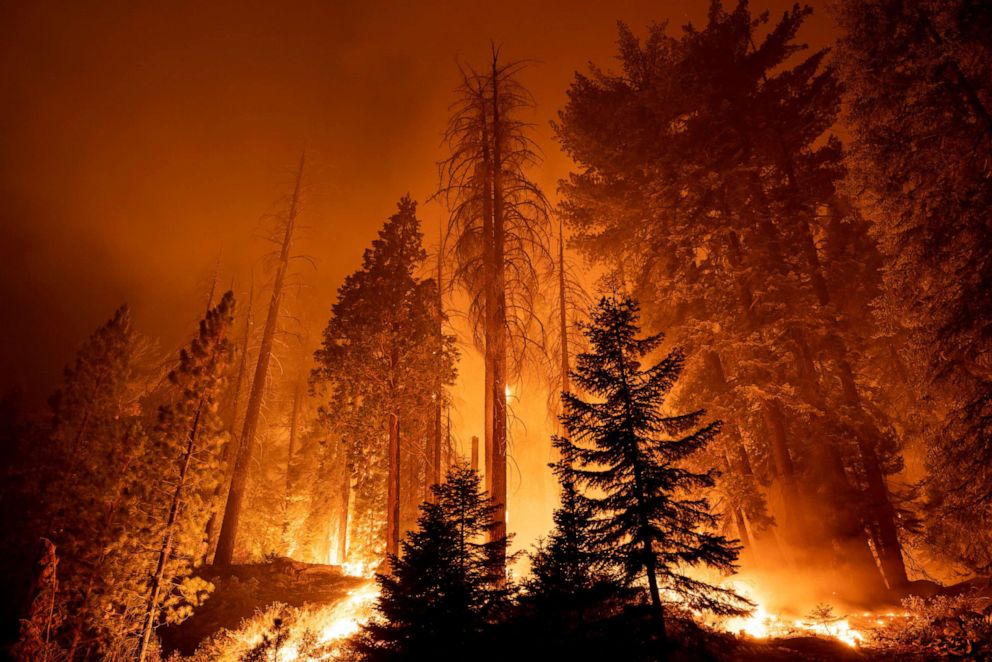 PHOTO: The Windy Fire blazes through the Long Meadow Grove of giant sequoia trees near The Trail of 100 Giants overnight in Sequoia National Forest, Sept. 21, 2021, near California Hot Springs, California.