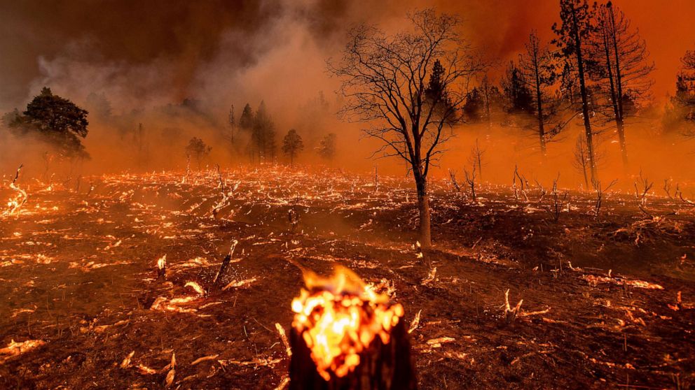 California's Largest Wildfire Of The Year Raging As Heat Wave Continues ...