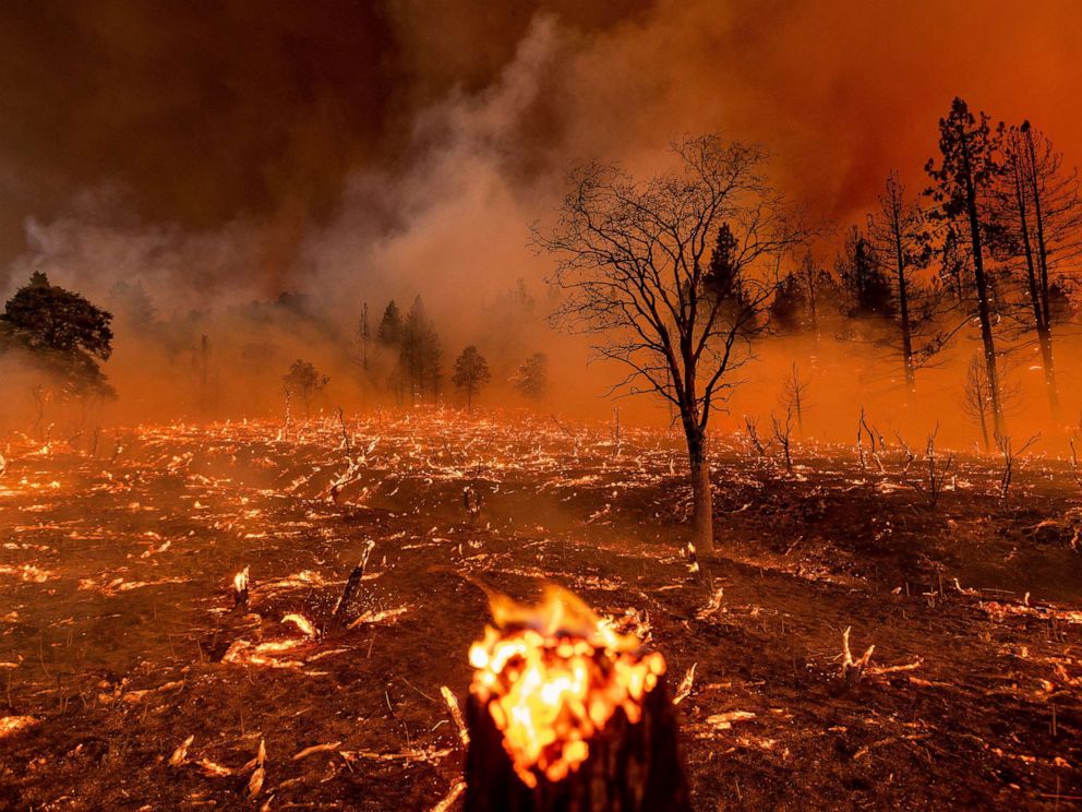 California's largest wildfire of the year raging as heat wave continues -  ABC News