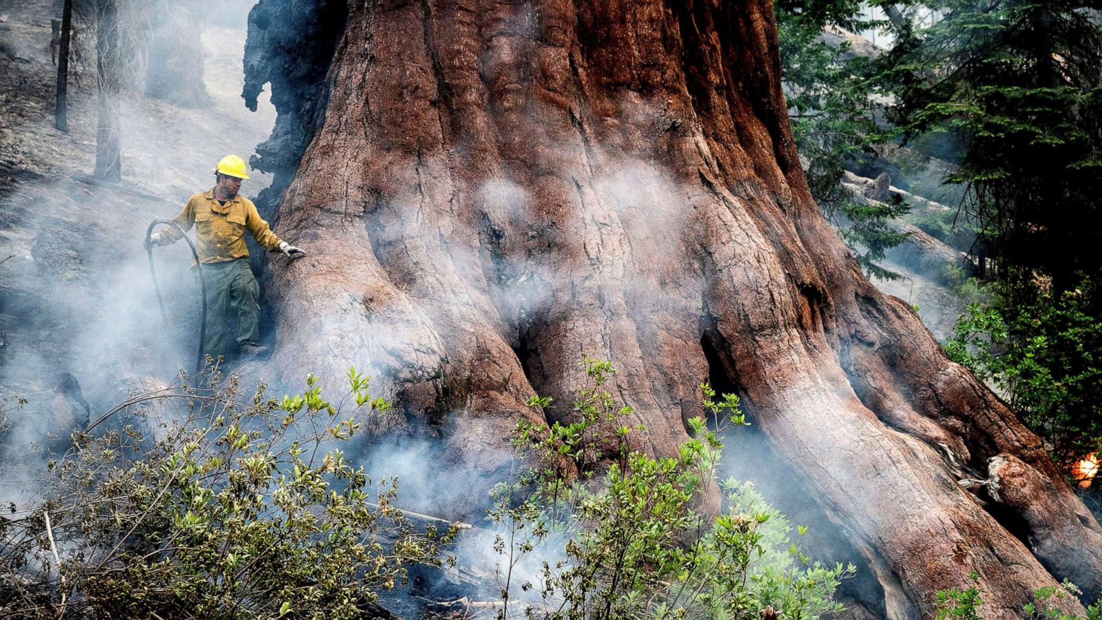 Wildfire threatening Yosemite sequoias now affecting air quality