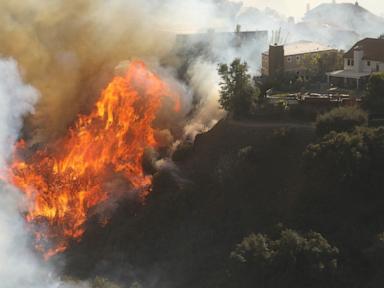 Los Angeles fires latest: 30,000 evacuate as Pacific Palisades fire spreads