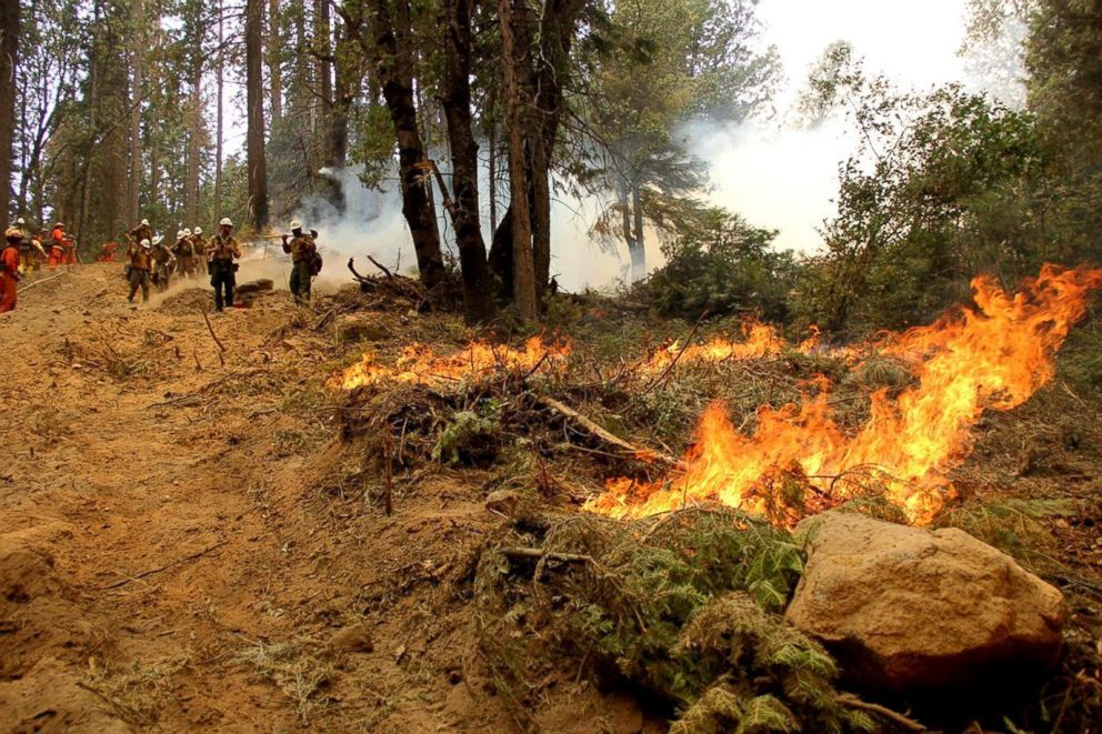 PHOTO: Firefighters battle the Ferguson Fire, the largest fire in the Sierra National Forest's history, in this U.S. Forest Service photo released on social media, in Calif., Aug. 8, 2018.