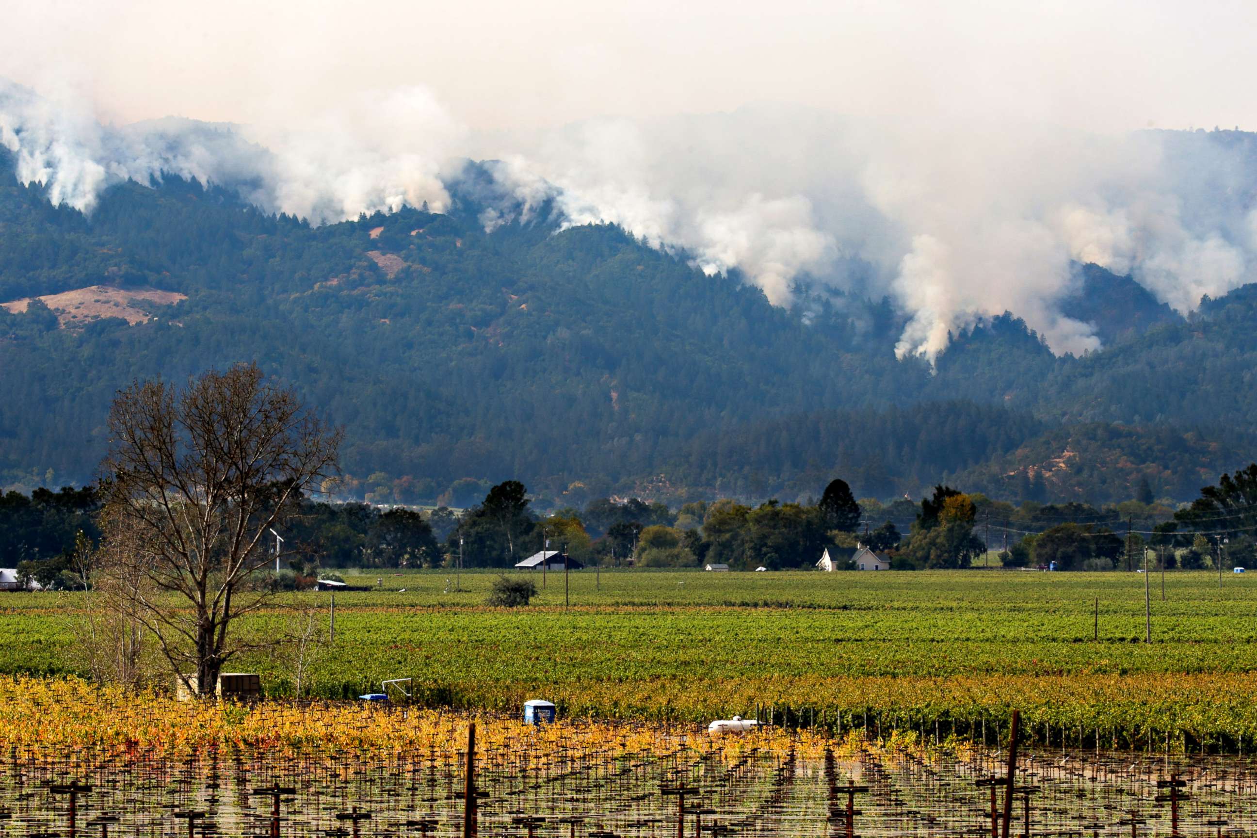 PHOTO: Wildfires are seen on a hillside, Oct. 16, 2017 in Oakville, Calif. 