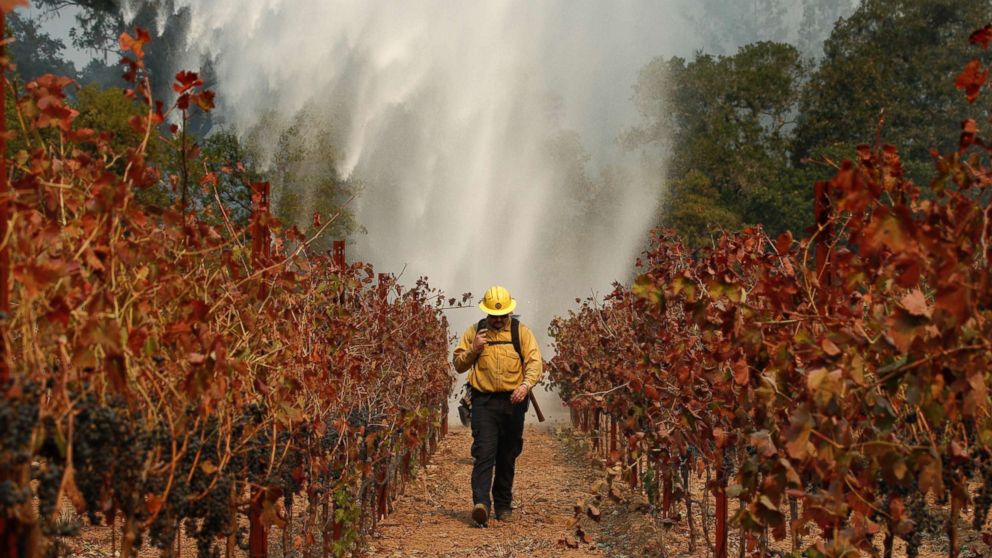 Firefighter Chris Oliver walks between grape vines as a helicopter drops water over a wildfire burning near a winery, Oct. 14, 2017, in Santa Rosa, Calif.