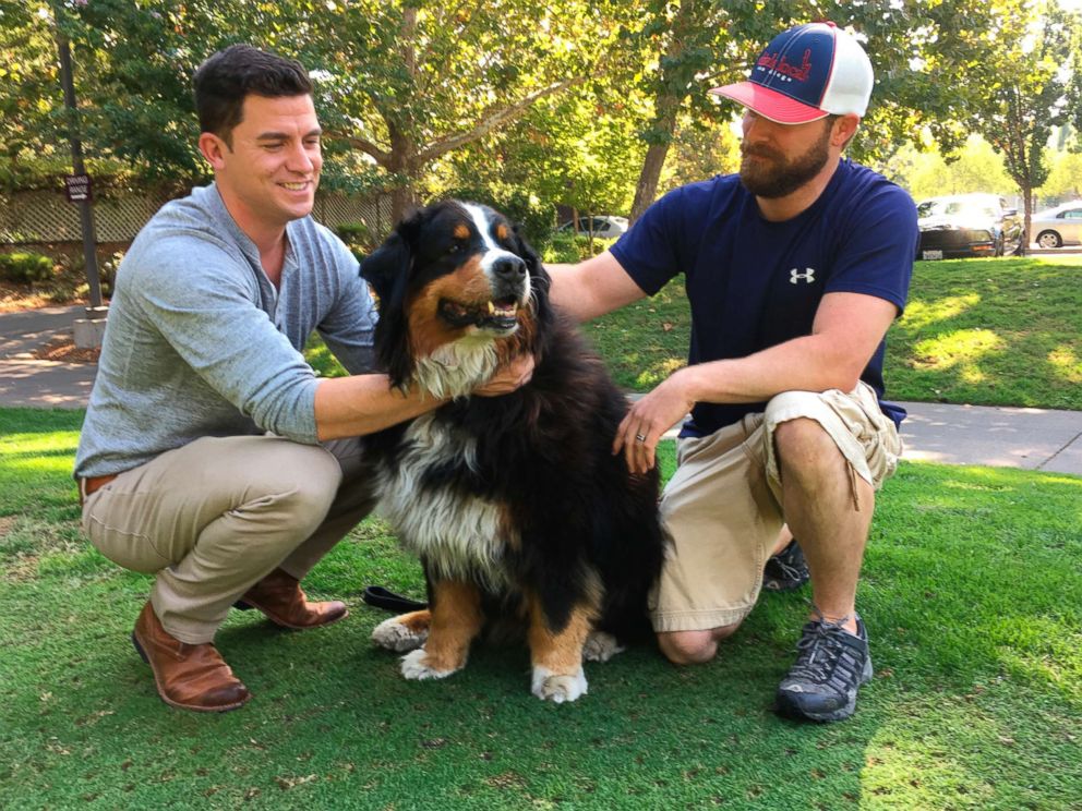 PHOTO: Jack Weaver, left, and his brother in law, Patrick Widen, pose with Izzy, a 9-year-old Bernese Mountain Dog, who belongs to Weaver's parents, Oct. 14, 2017, in Windsor, Calif.