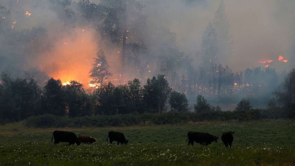 PHOTO: McKinney Fire burns near Yreka, Calif., July 30, 2022.