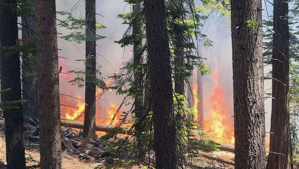 PHOTO: The Washburn fire burning near the lower portion of the Mariposa Grove in Yosemite National Park, July 7, 2022. 