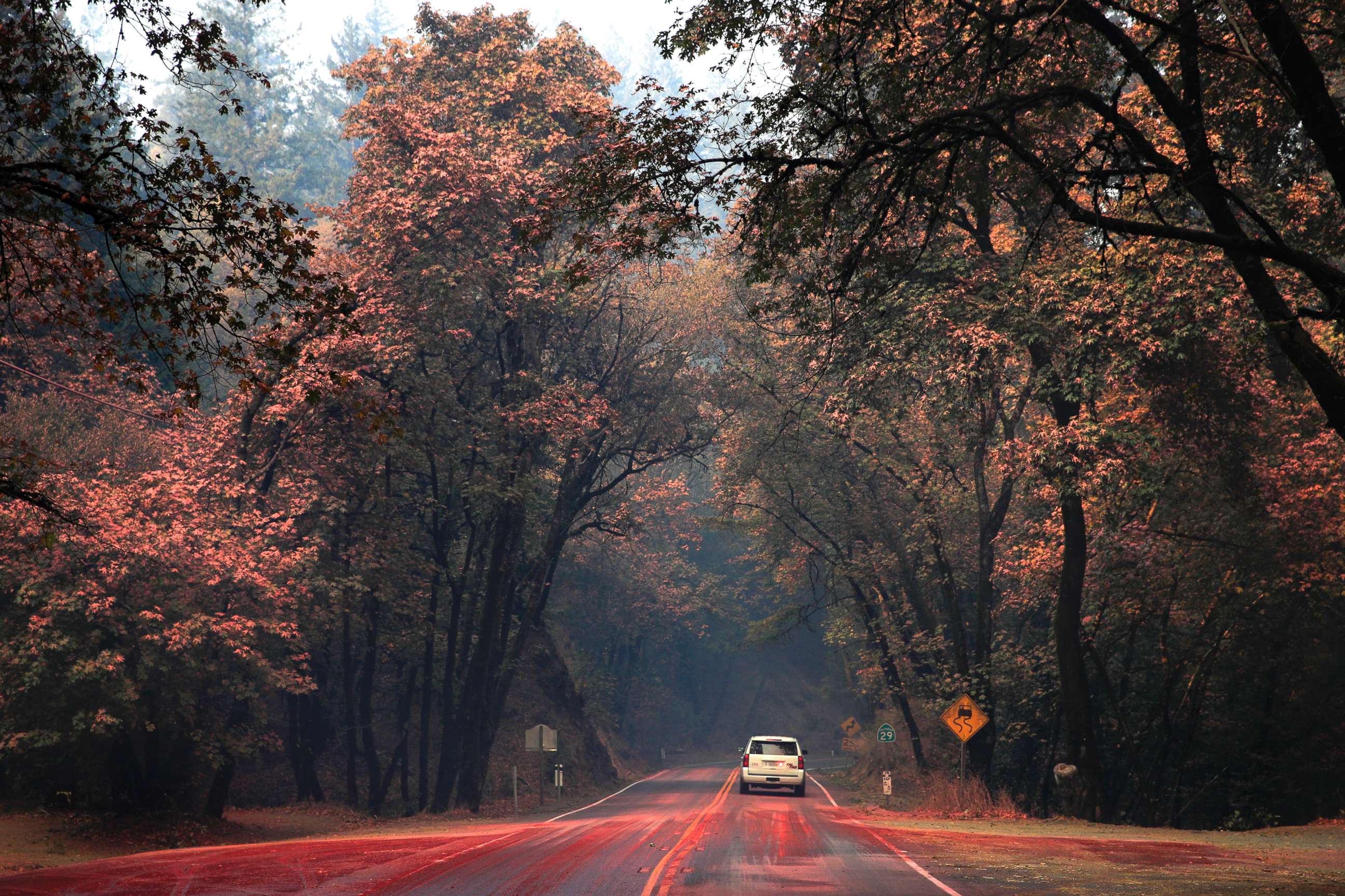 PHOTO: An SUV passes trees covered in fire retardant as wildfires continue to burn, Oct. 12, 2017, near Calistoga, Calif. 