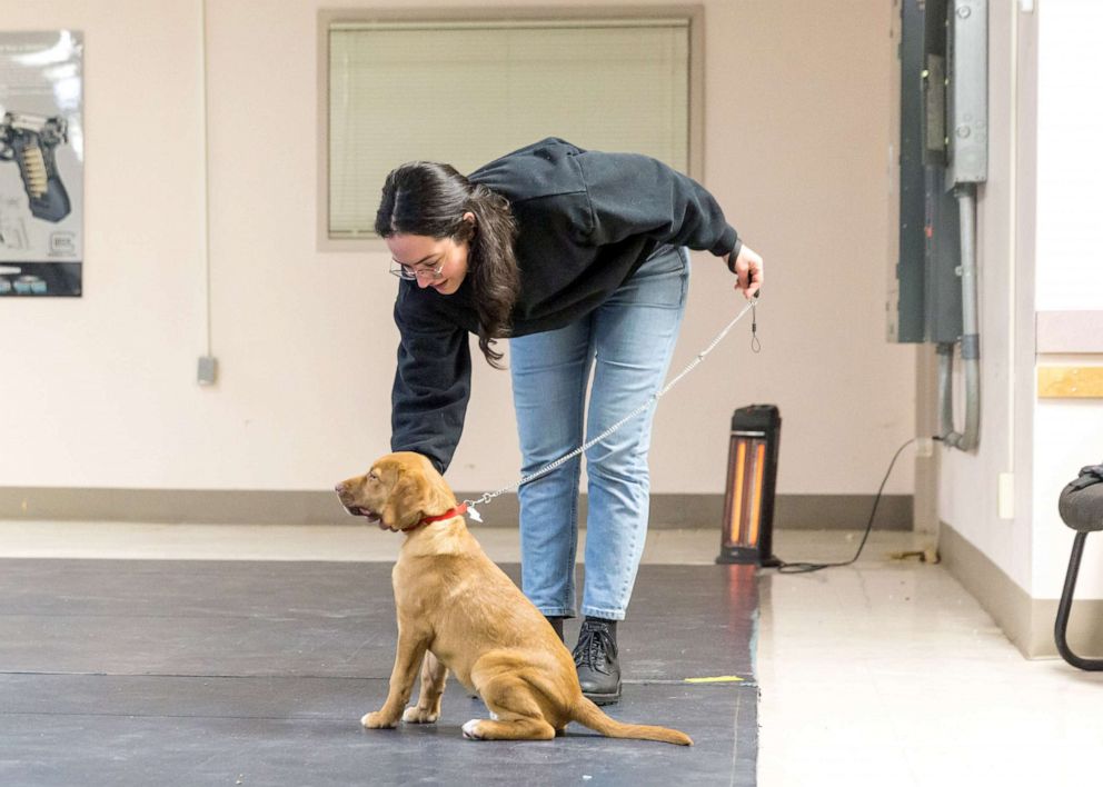 PHOTO: Robert Gaylog's service dog, Callie is trained by Putnam Service Dogs.