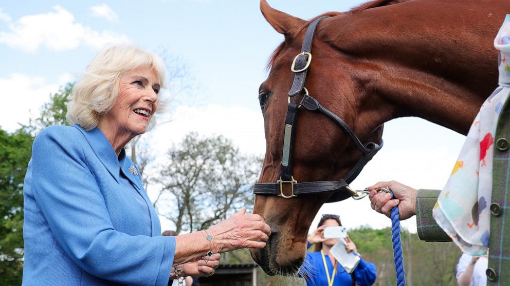 PHOTO: Queen Camilla looks at a horse as she visits Smitten Farm on the final day of the state visit of King Charles III and Queen Camilla, April 30, 2026 in The Plains, Virginia. 