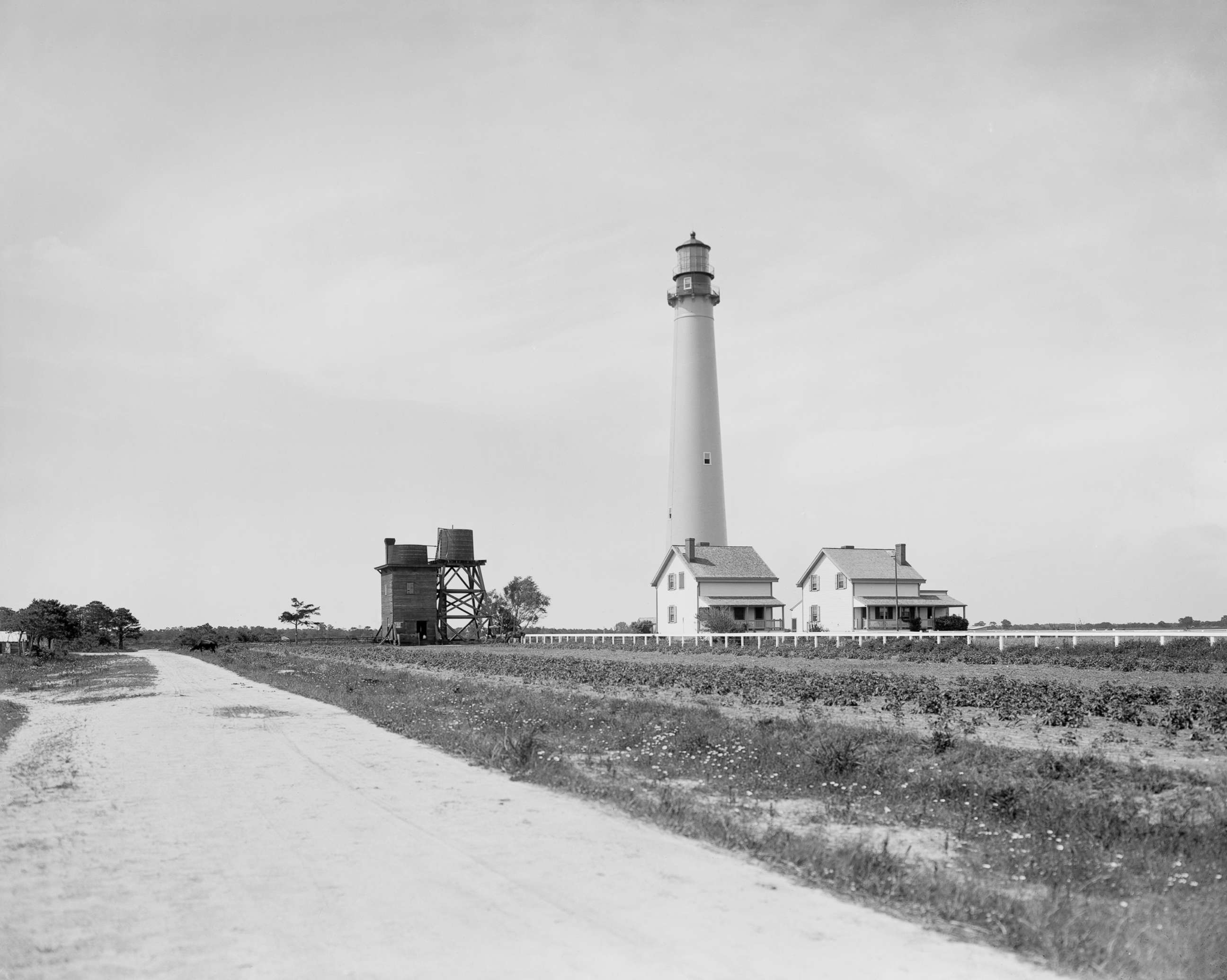 PHOTO: The lighthouse on Cape May, New Jersey, circa 1910.