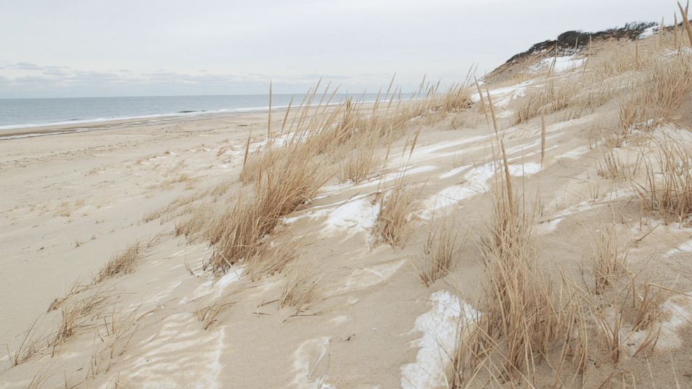 PHOTO: The sand dunes in Truro, Mass.