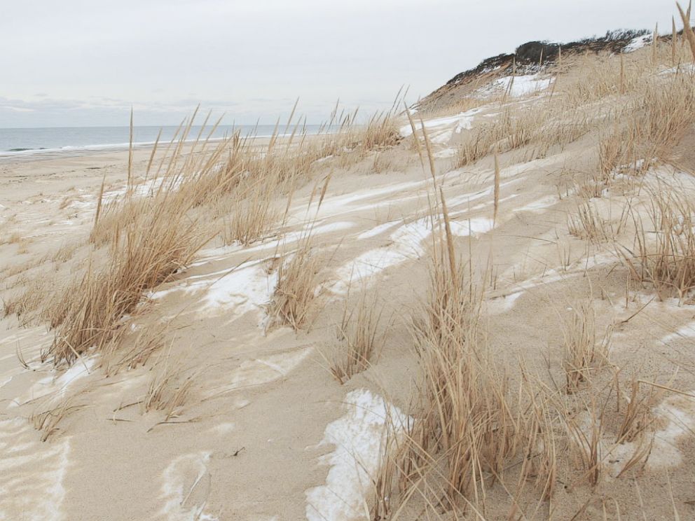 PHOTO: The sand dunes in Truro, Mass.