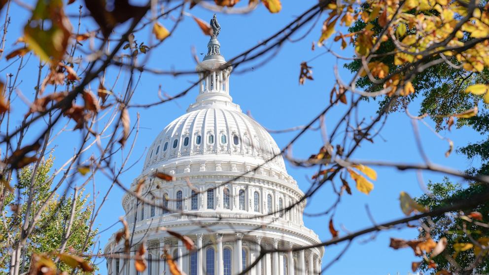 PHOTO: The Statue of Freedom atop the U.S. Capitol is seen between autumn tree leaves on day 23 of the government shutdown, Oct. 23, 2025, in Washington.