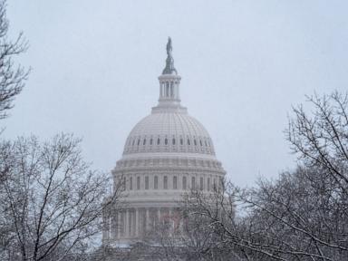 Trump's inauguration most frigid since 1985