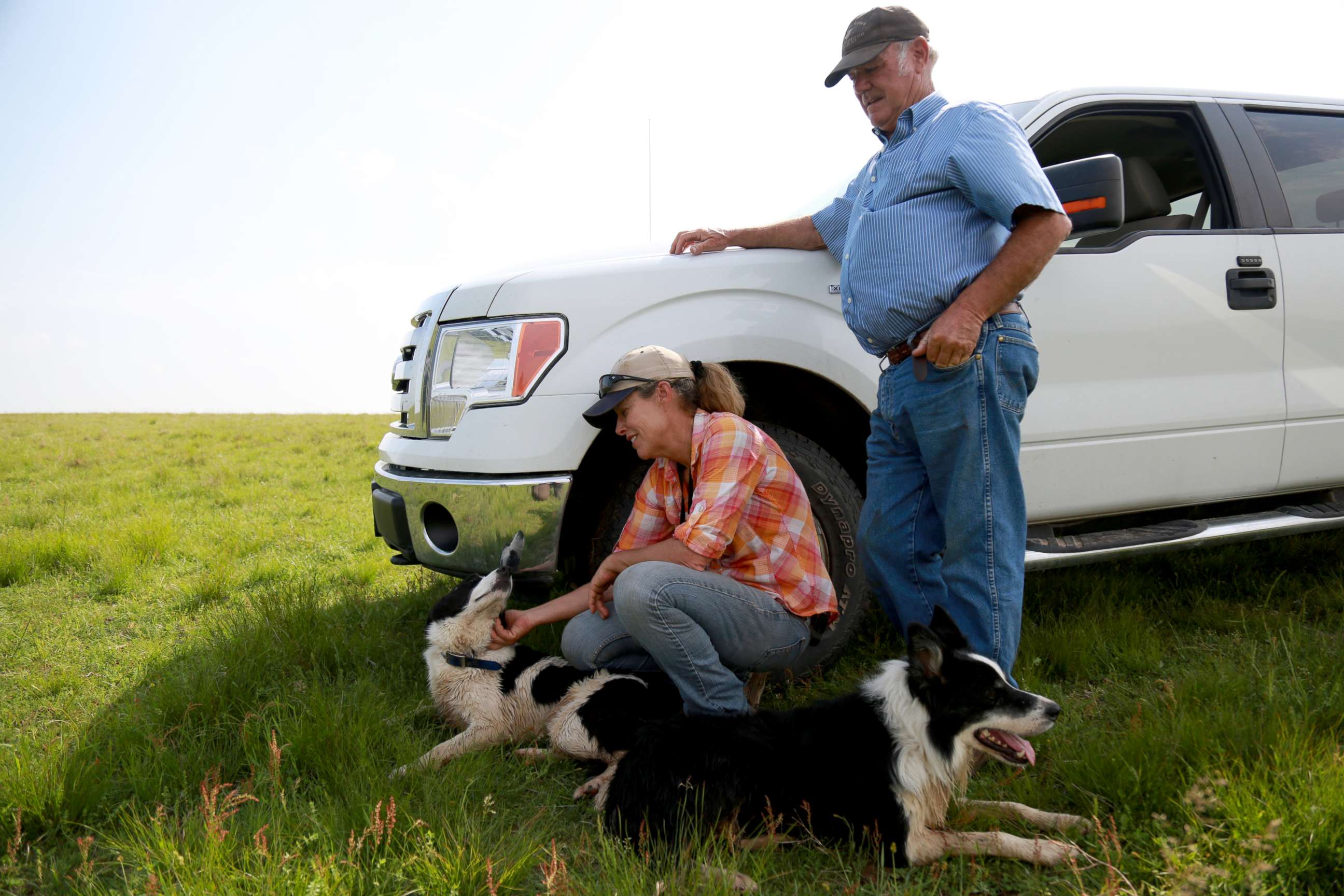 PHOTO: Kathy and Jack Knox pictured with their Border Collies, Rob and Nap. 