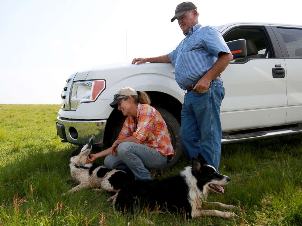 PHOTO: Kathy and Jack Knox pictured with their Border Collies, Rob and Nap.