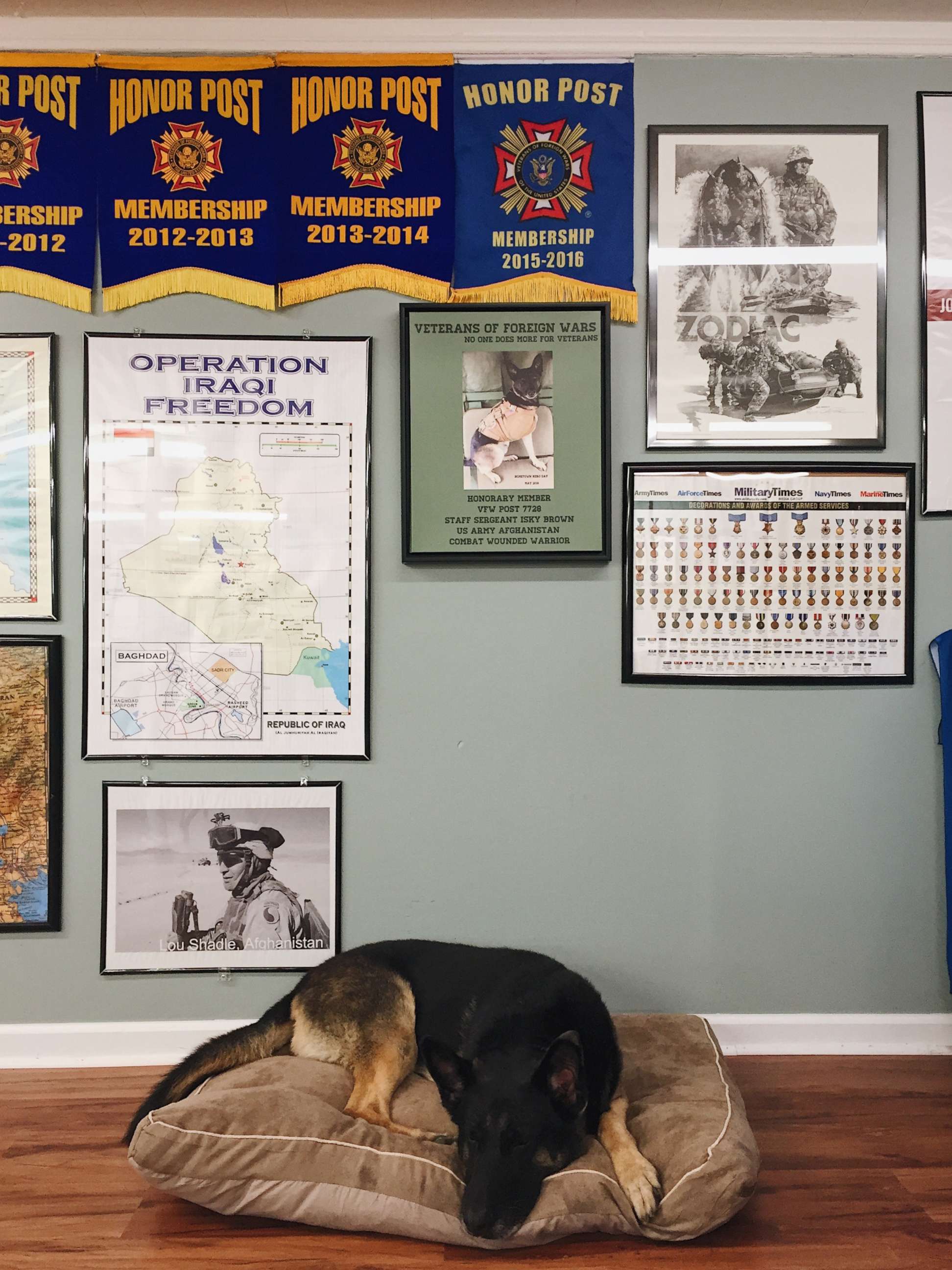 PHOTO: Isky Brown resting at VFW Post 7728 in Morrisville, VA. 