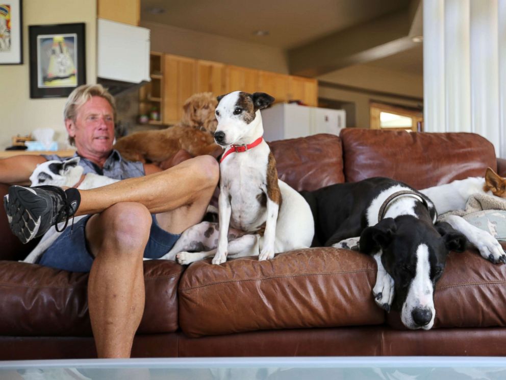PHOTO: Pickles, pictured sitting upright, taking a break on the couch with his co-stars.