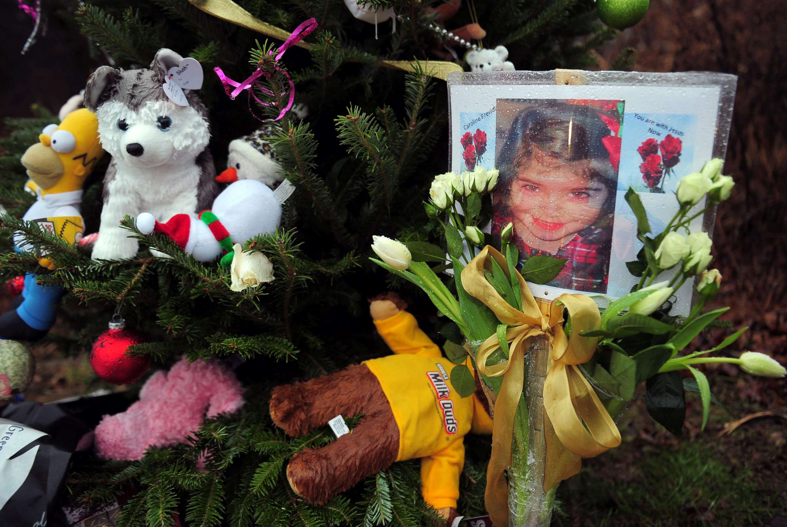 PHOTO: A photo of Caroline Previdi, one of the victims from the Sandy Hook elementary school shooting is set up at a makeshift shrine to the victims in Newtown, Conn., Dec. 17, 2012.