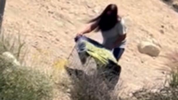 Good Samaritan speaks out after stopping couple from dumping kittens in dirt field