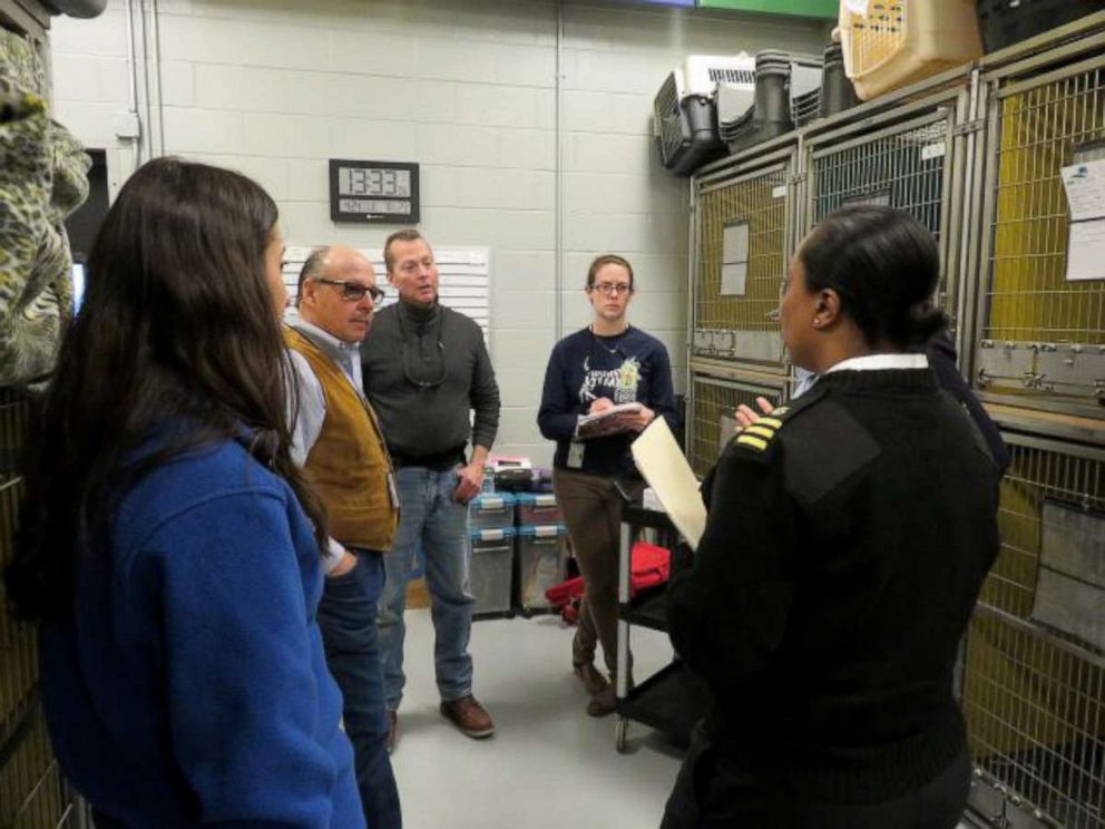 PHOTO: Veterinary staff with Customs and Border Protection, the Centers for Disease Control, and JFK partner to investigate imported underage puppies.