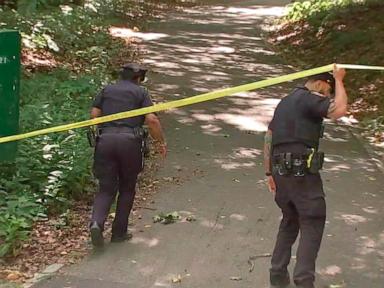 Man arrested in connection with attempted rape of Central Park sunbather: Police