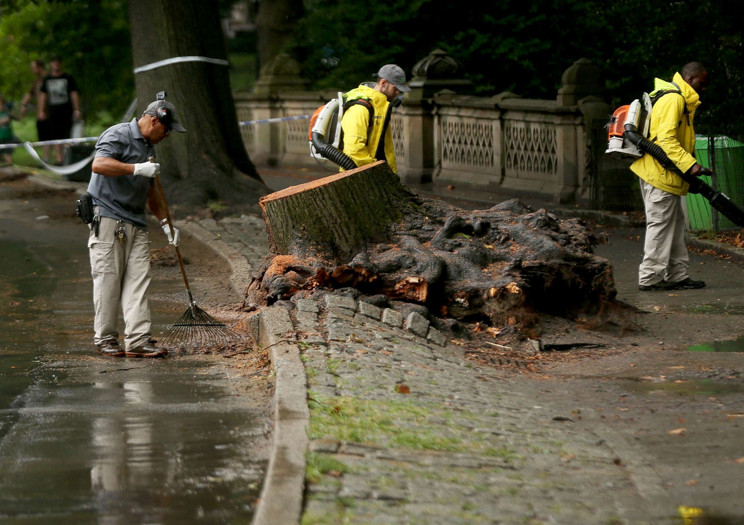 PHOTO: Central Park workers clean up around an area where a massive tree came down injuring a mother and her three young children, Aug. 15, 2017, in New York City. 