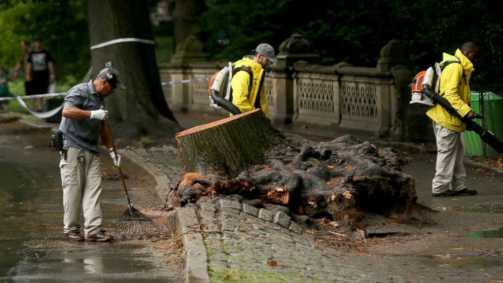 PHOTO: Central Park workers clean up around an area where a massive tree came down injuring a mother and her three young children, Aug. 15, 2017, in New York City. 