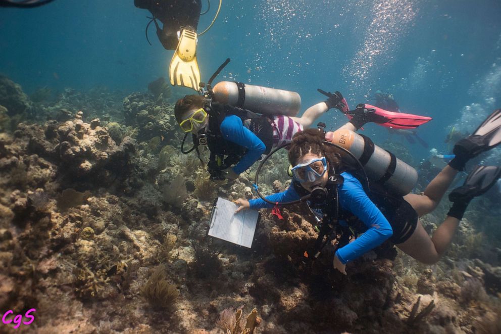 PHOTO: DWP divers map out a site of interest.