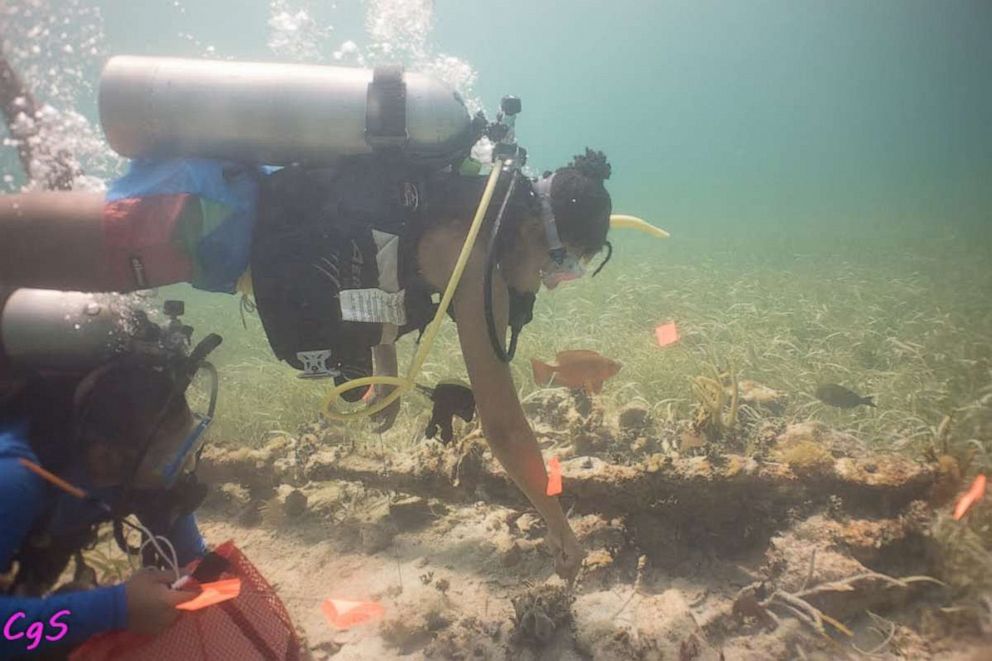 PHOTO: A DWP diver places flags near points of interest.