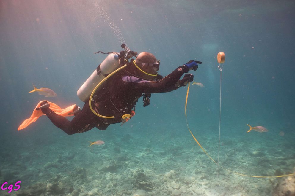 PHOTO: A DWP diver maps a site of interest.