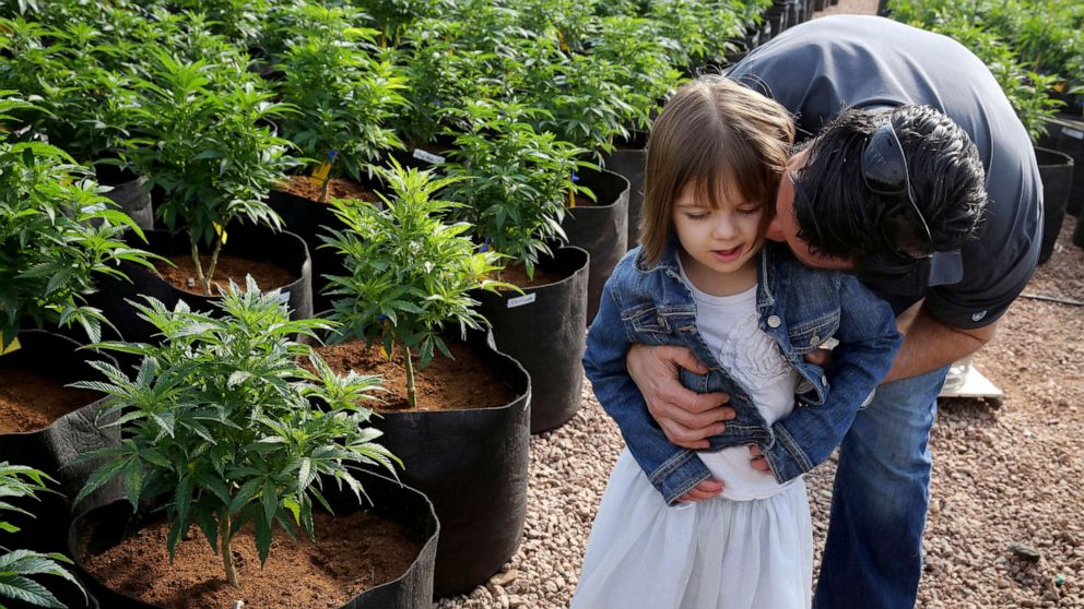 PHOTO: Matt Figi hugs his daughter Charlotte as they walk around inside a greenhouse for a special strain of medical marijuana known as Charlotte's Web at a grow location in a remote spot in the mountains west of Colorado Springs, Colo.