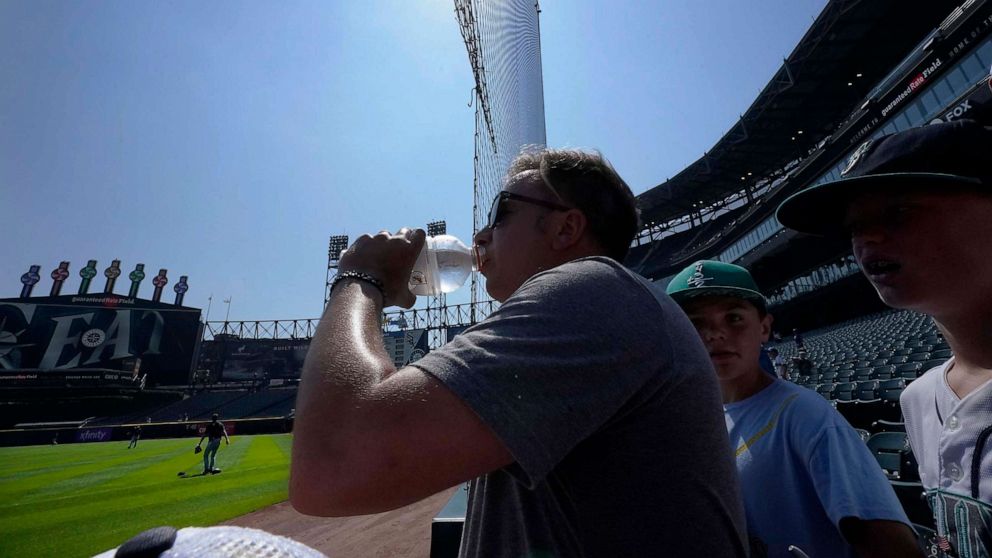 Dangerous heat slams Midwest and Gulf Coast: What to expect - ABC News