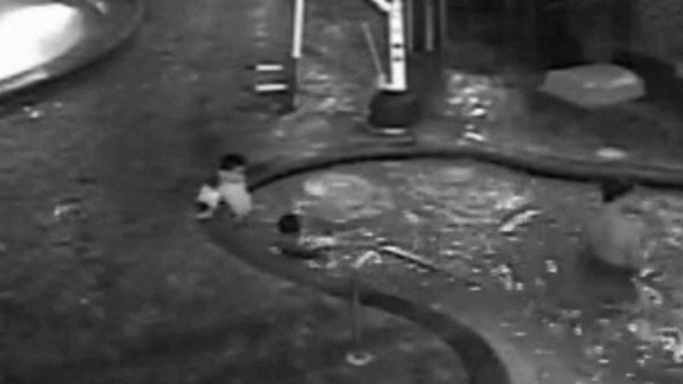 VIDEO: Woman charged with neglect after 3-year-old son nearly drowns in resort hot tub