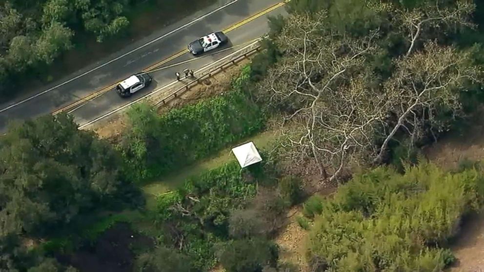 PHOTO: An unidentified little girl found dead in Los Angeles, March 5, 2019.