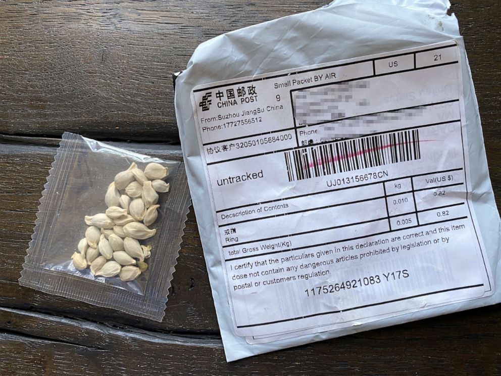 PHOTO: An unsolicited package of seeds sent from China was received by an ABC News employee in July 2020.