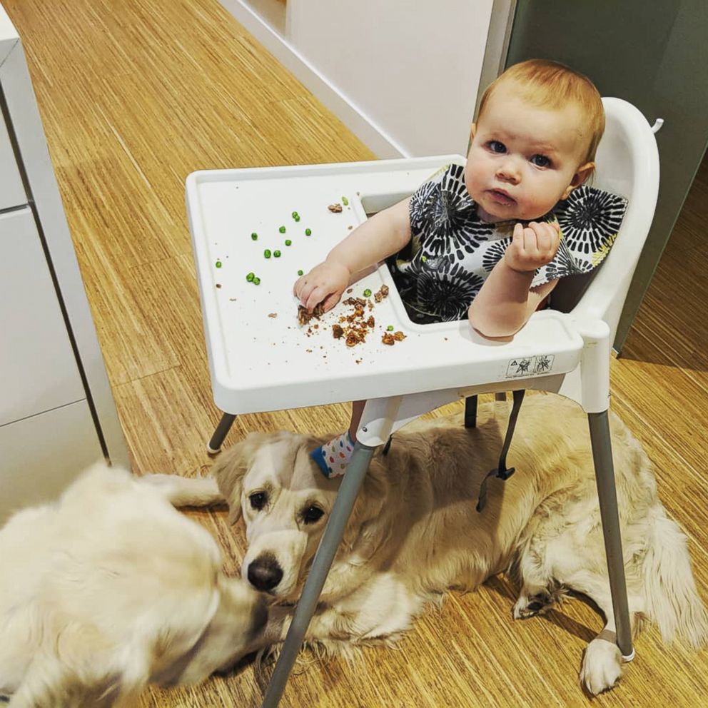 PHOTO: Chloe Cardinal, 15 months, shares her meal with Colby and Bleu.
