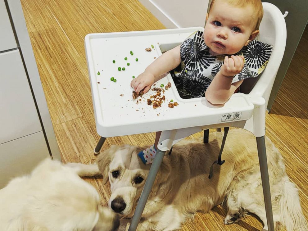 PHOTO: Chloe Cardinal, 15 months, shares her meal with Colby and Bleu.