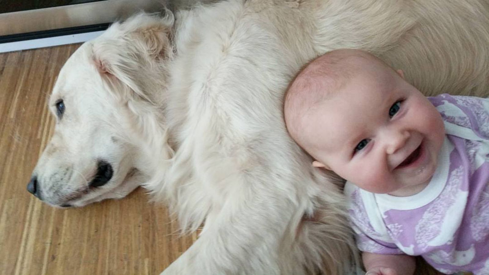 PHOTO: Chloe Cardinal, 15 months, uses Colby as a pillow.