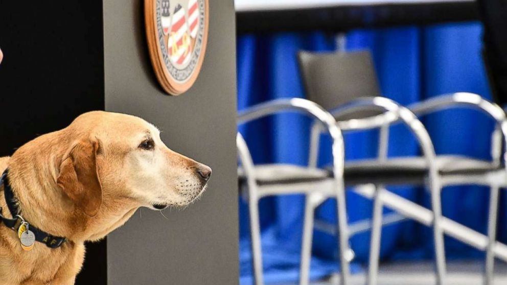 PHOTO: Dog Osmond retired from service in the CIA during the Fall 2017 "Puppy Class" graduation.