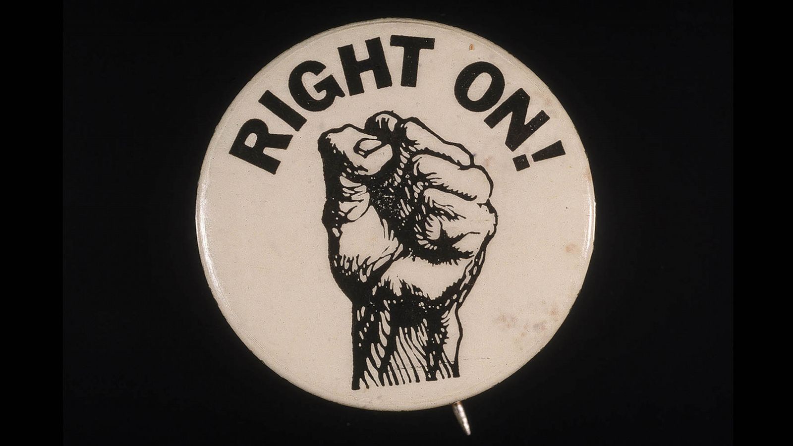 Equal Rights button badge pin protest government feminism blm america vote 