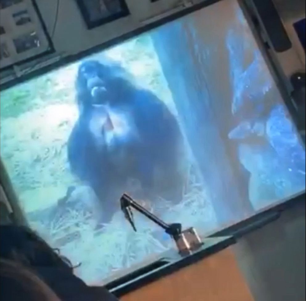 PHOTO: A group of Long Island high school students claims their teacher included racially insensitive images in a class presentation that referenced them as monkeys.