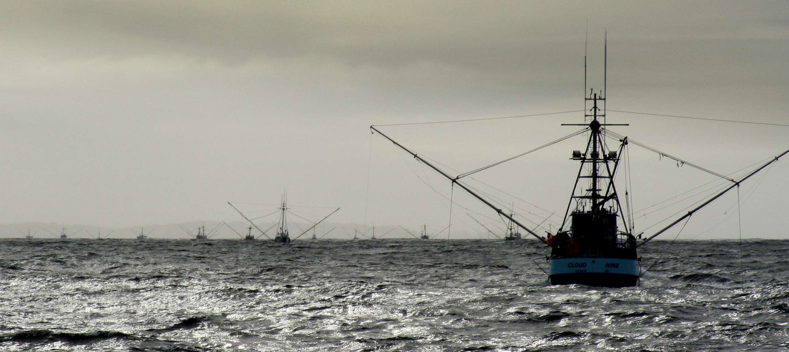 PHOTO: Fishermen in the northern Pacific Ocean are already seeing a drop in demand and prices for fish and fear what the rest of the year will look like as restaurants remain closed amid the coronavirus pandemic.
