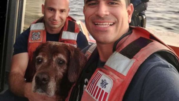 Coast Guard Saves Lucky Dog Swimming Off Florida Beach - Good Morning ...