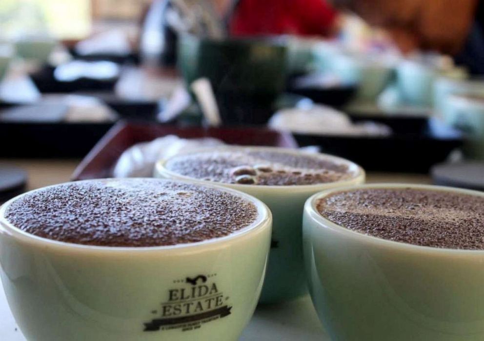 PHOTO: The Elida Geisha Natural is the world's most expensive coffee.